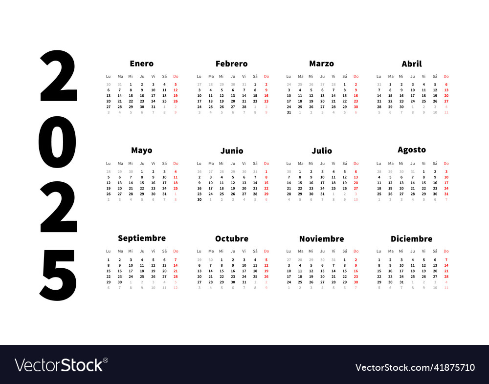 2025 Year Simple Horizontal Calendar In Spanish Vector Image   2025 Year Simple Horizontal Calendar In Spanish Vector 41875710 