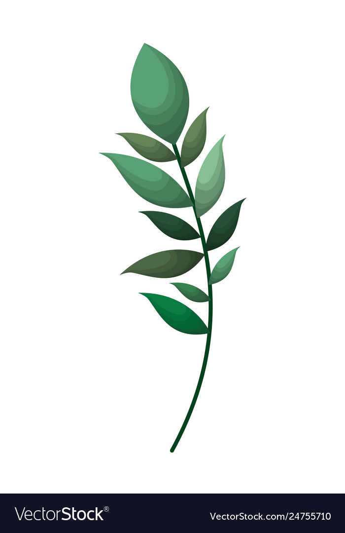 Branch with leafs isolated icon