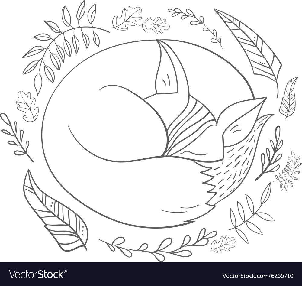 Sleeping fox grey line Royalty Free Vector Image