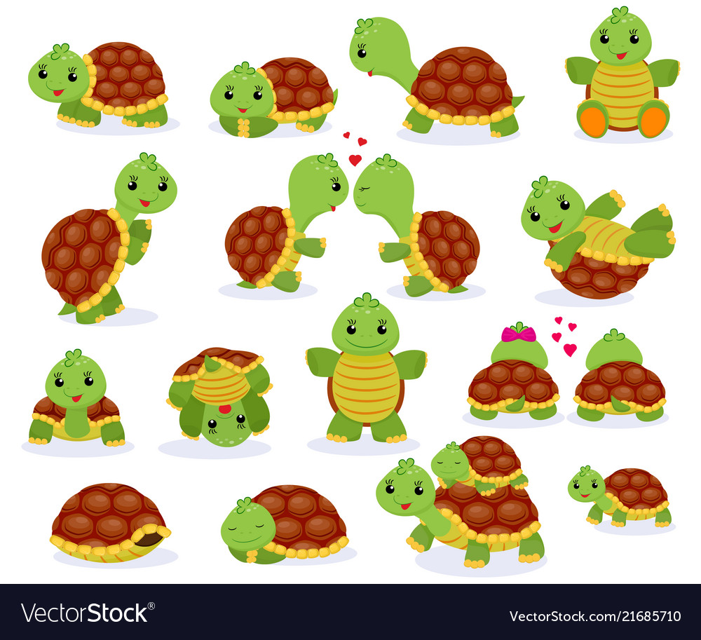 Turtle cartoon seaturtle character swimming