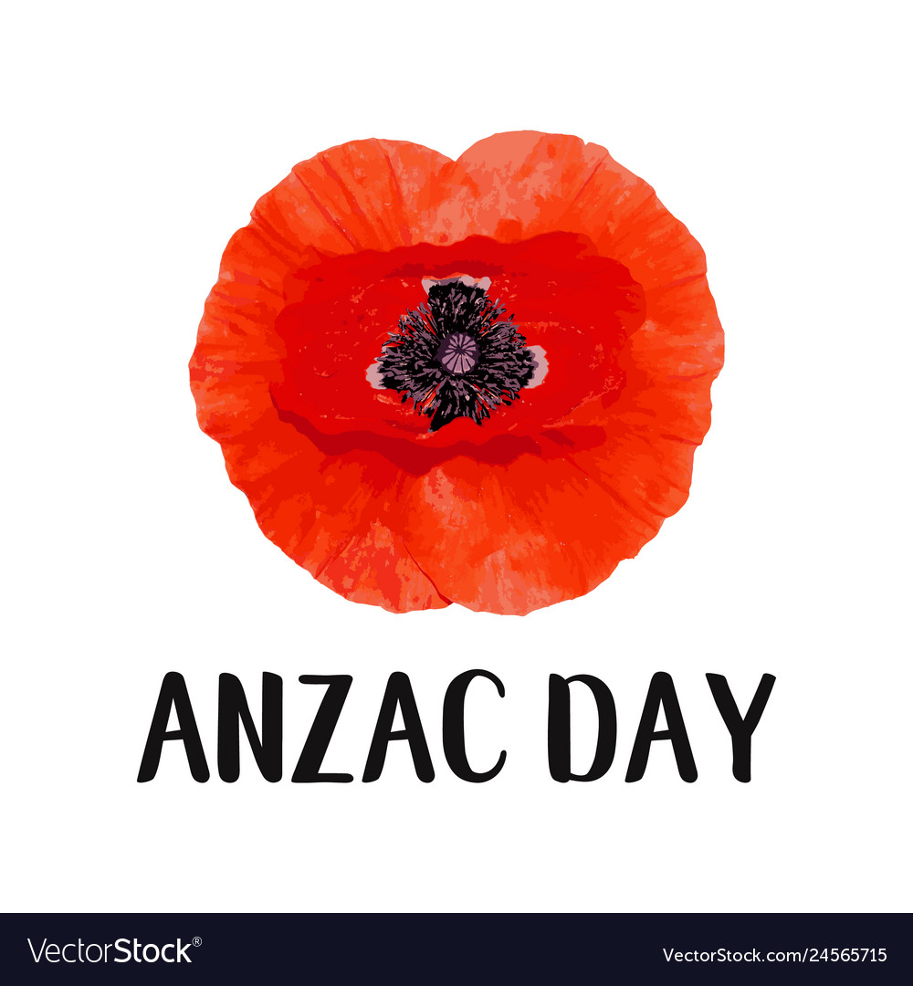 Anzac day card bright poppy flower Royalty Free Vector Image