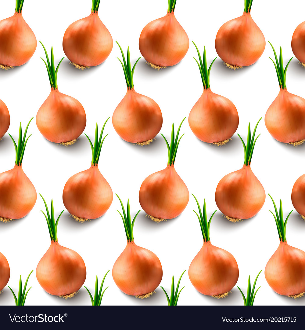 Bulb onions and green isolated on a white