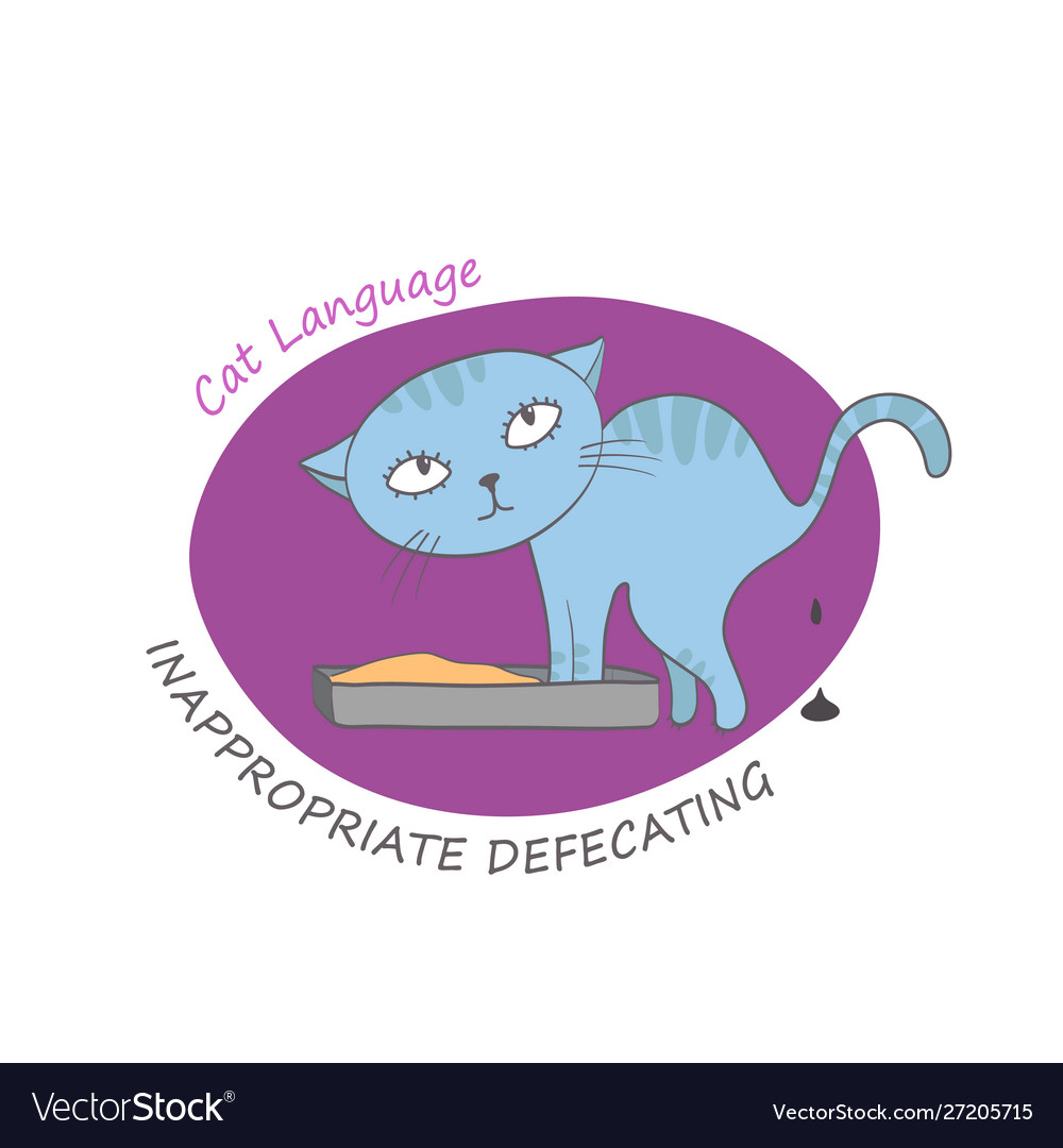 Cat behavior image vector image Cat behavior image