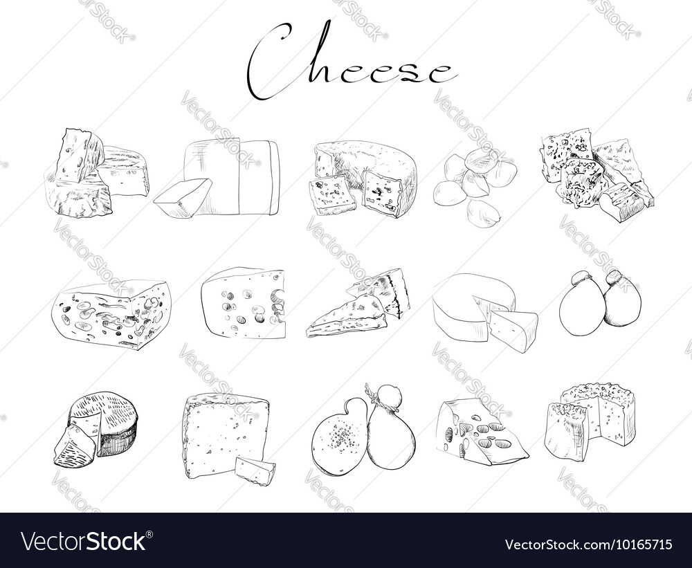 Cheese sketch drawing designer template Royalty Free Vector