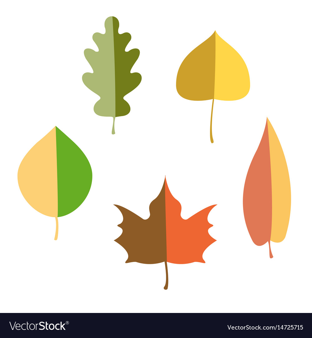 Set of autumn leaves flat Royalty Free Vector Image