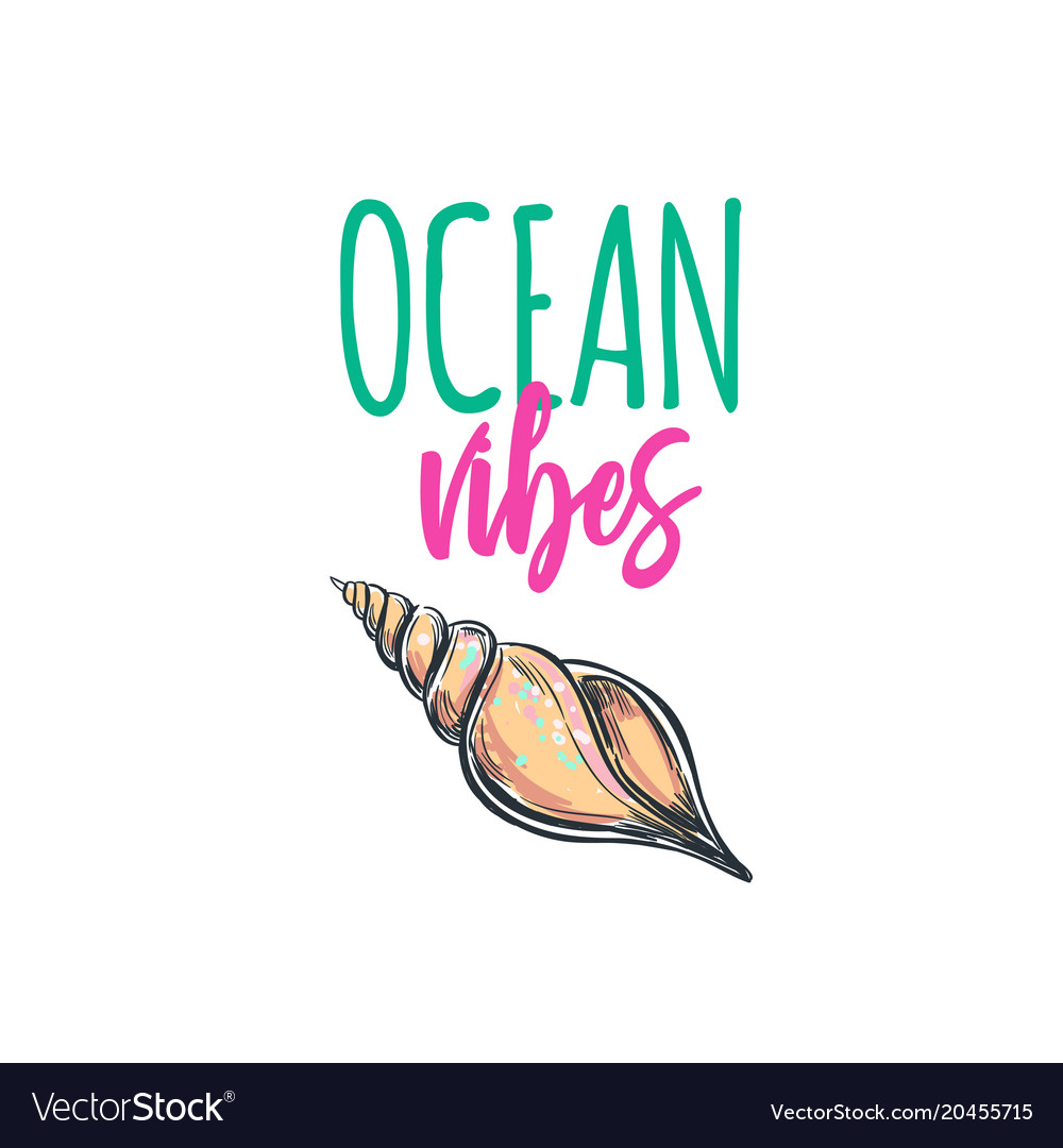 Typography with seashell