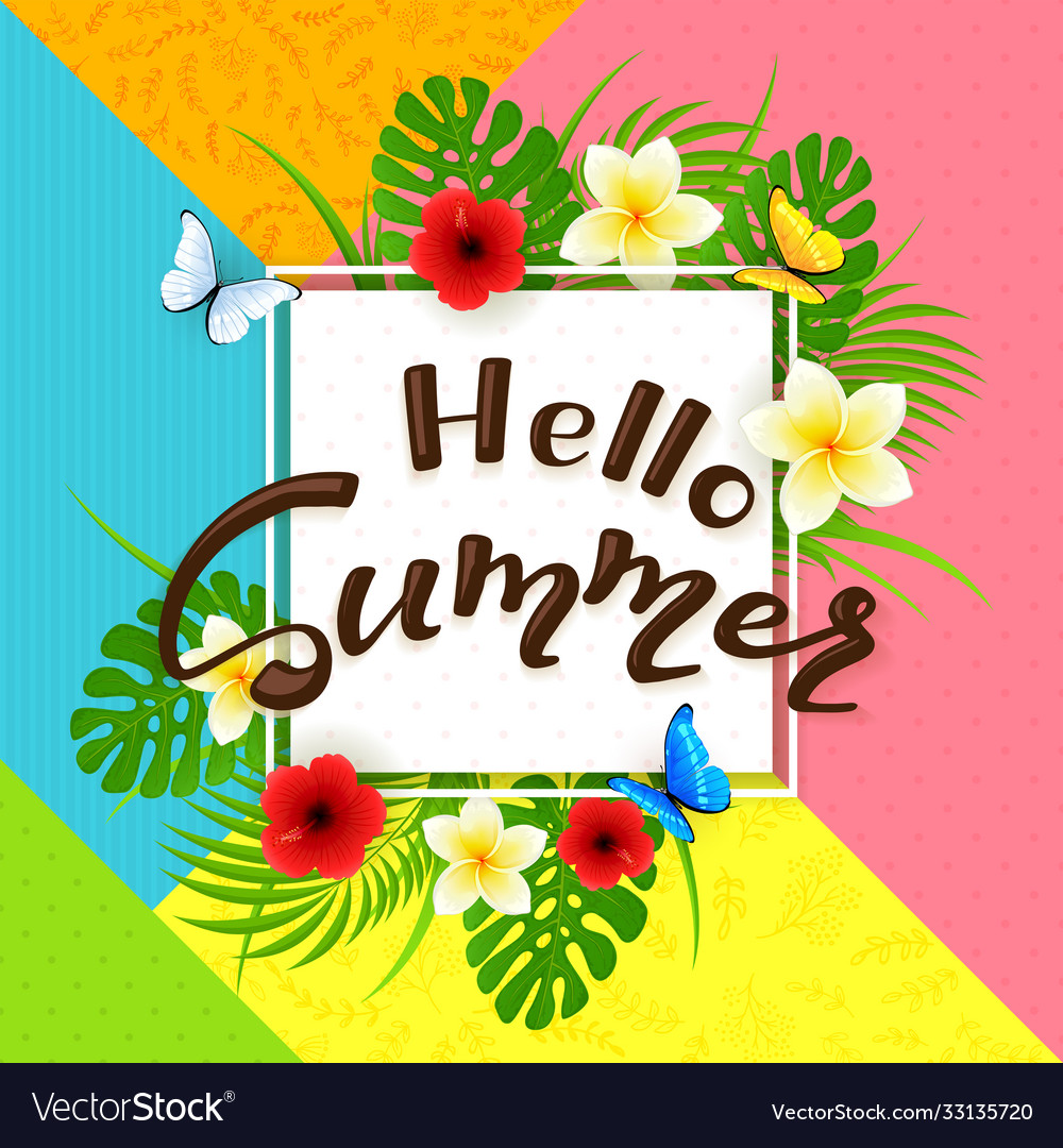 Colorful background and text hello summer vector image Colorful background and text hello summer