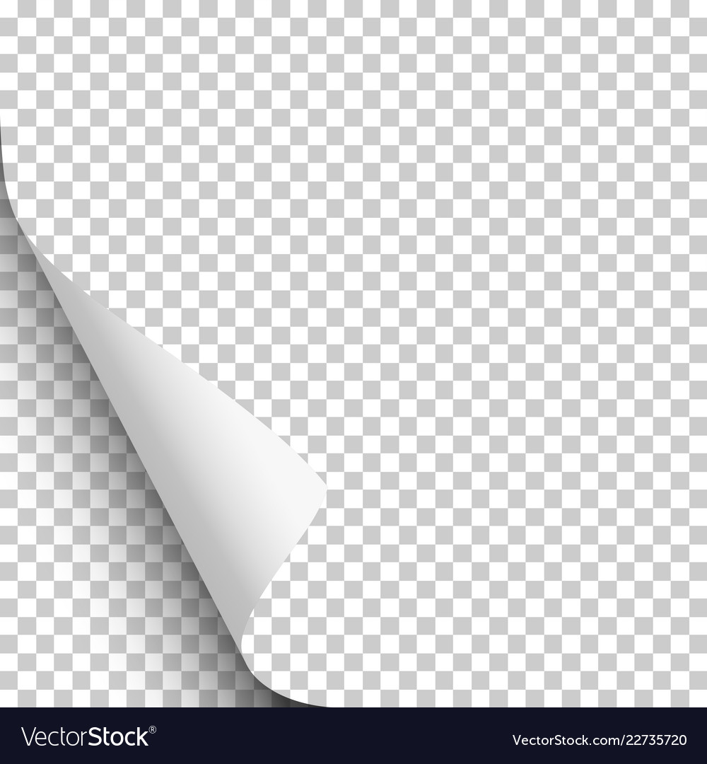 Lower left curl with shadow on blank transparent Vector Image Lower left curl with shadow on blank transparent