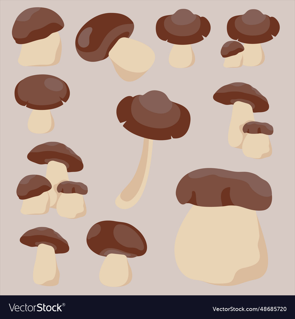 Set of mushroom collection Royalty Free Vector Image