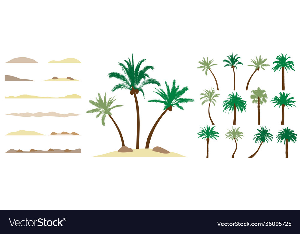 Palm trees constructor kit beautiful vector image Palm trees constructor kit beautiful