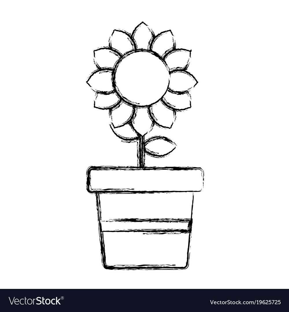 Uncolored sunflower plant Royalty Free Vector Image