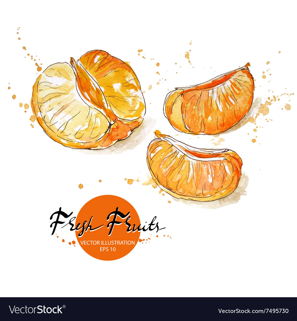 Pieces of tangerine