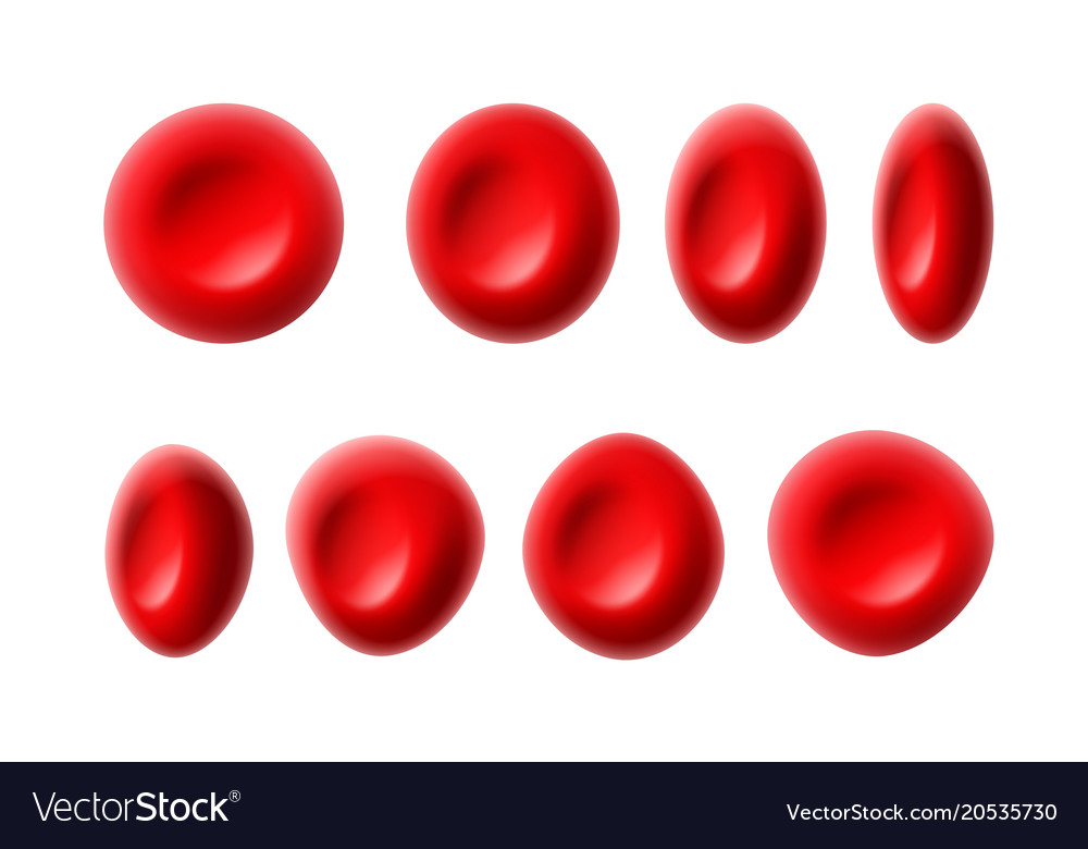 Red blood cells Royalty Free Vector Image - VectorStock