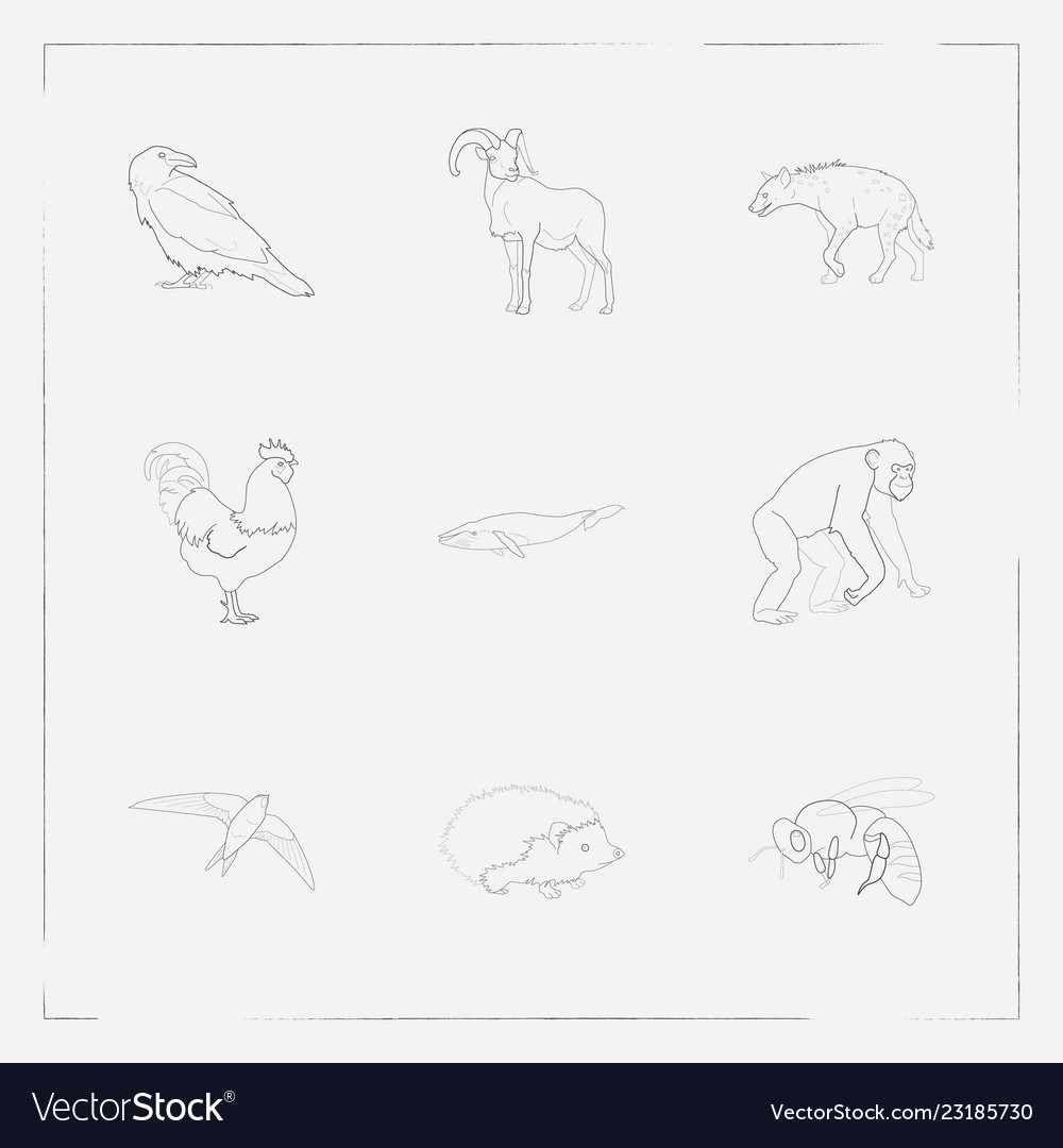 Set alive icons line style symbols vector image Set alive icons line style symbols