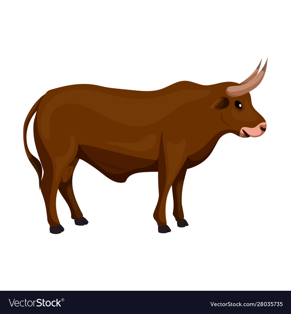 Bull iconcartoon icon isolated