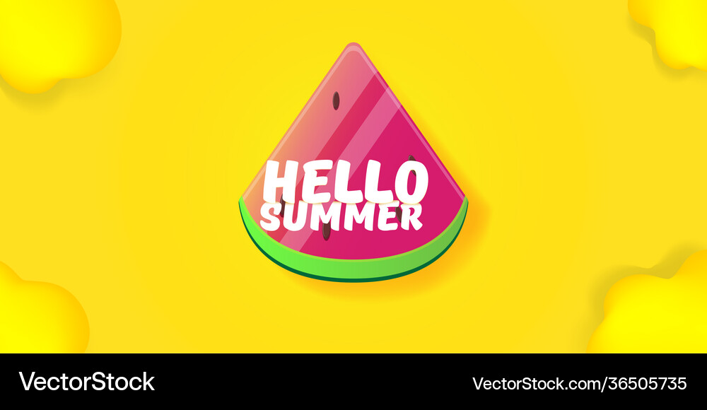 Hello Summer Beach Party Horizontal Banner Vector Image
