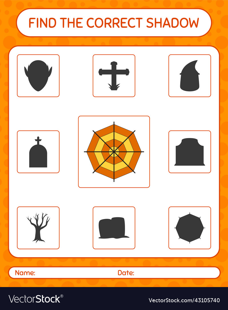 Find the correct shadows game with spider web Vector Image Find the correct shadows game with spider web