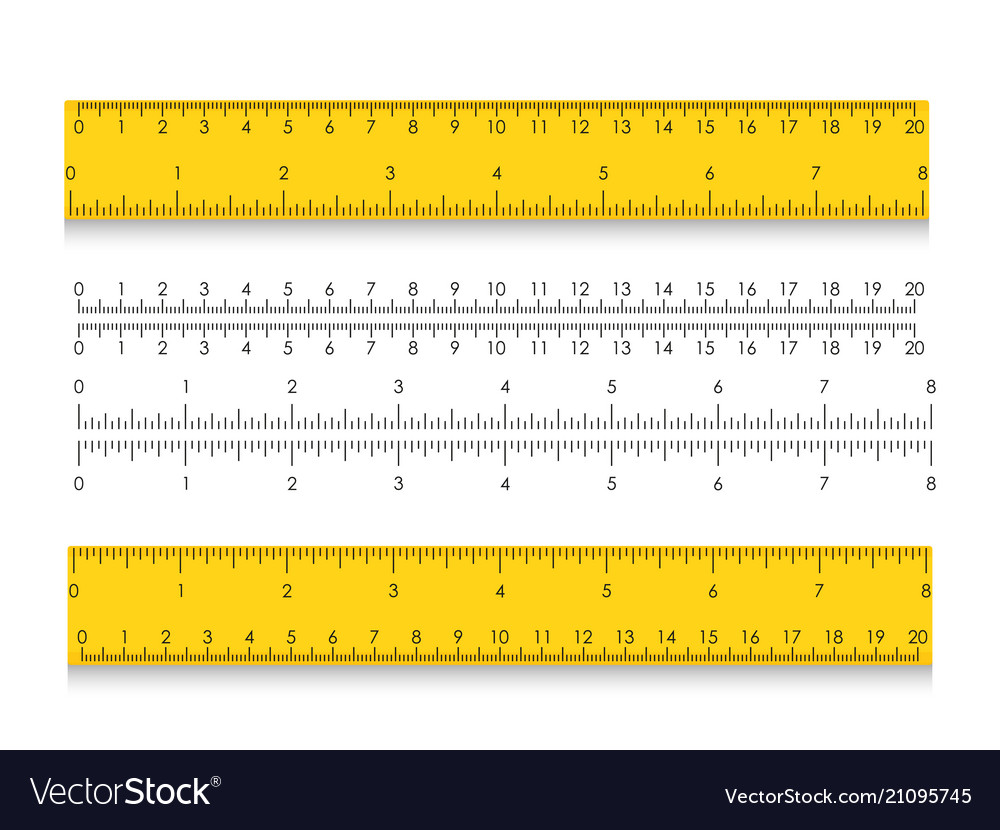 Wooden different size rulers 6 8 and 12 inch long Vector Image