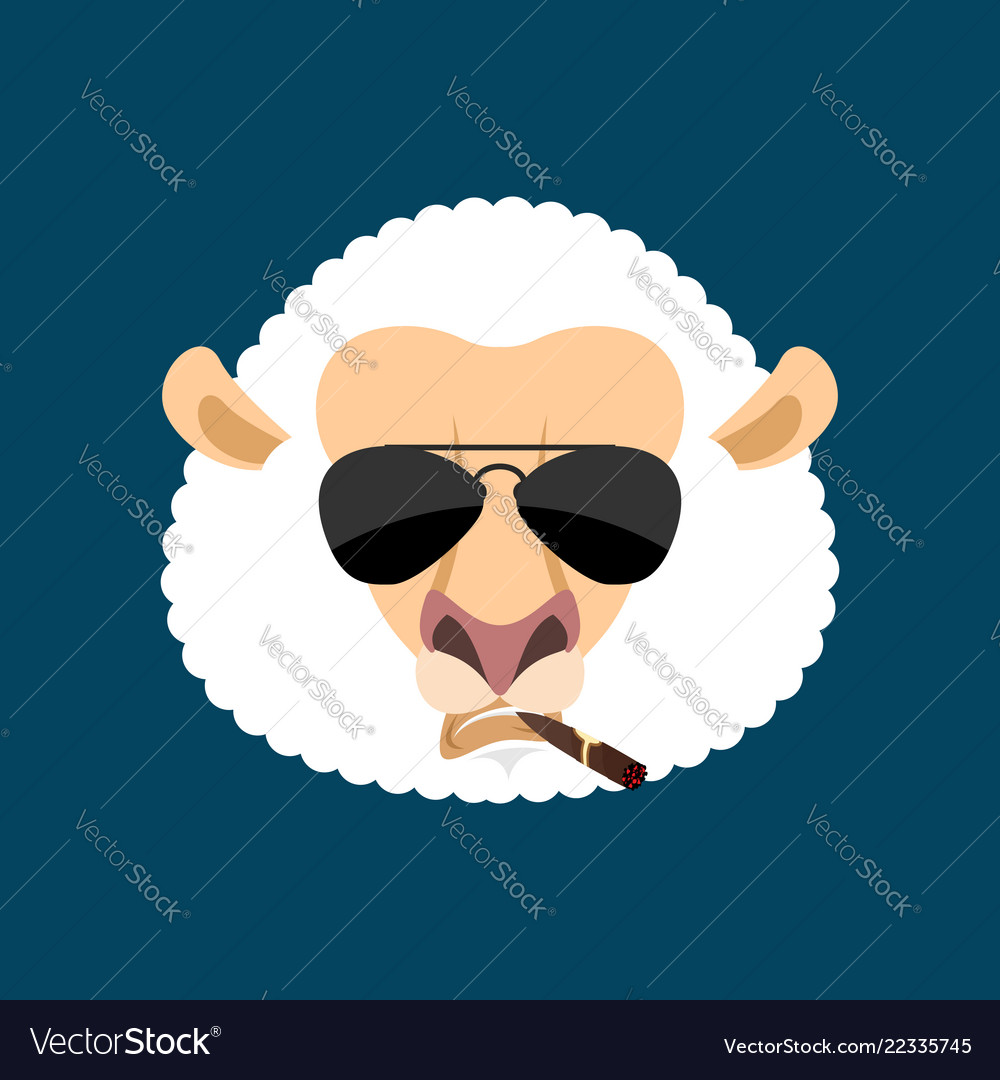 Serious Sheep with Cigar