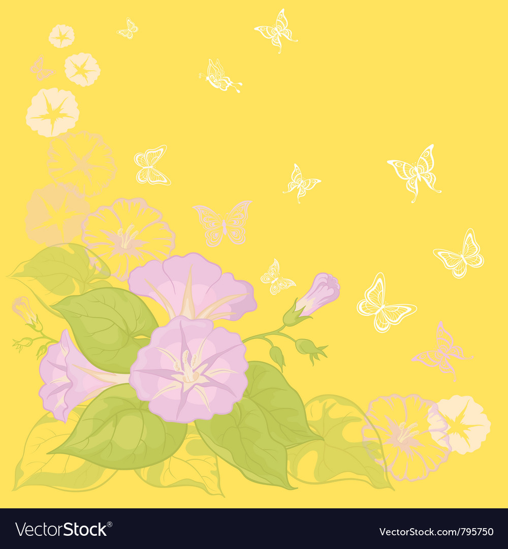 Background with flowers ipomoea