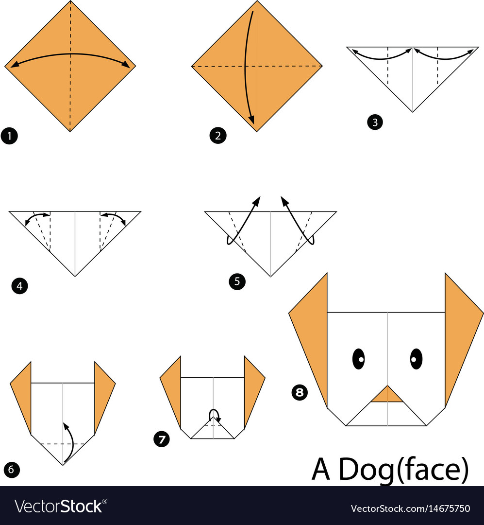 Step by instructions how to make origami Vector Image