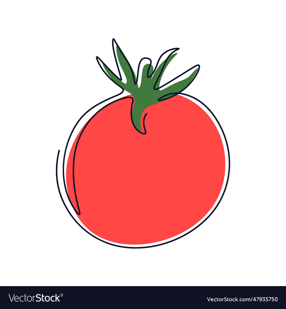 Tomato in continuous drawing style Royalty Free Vector Image