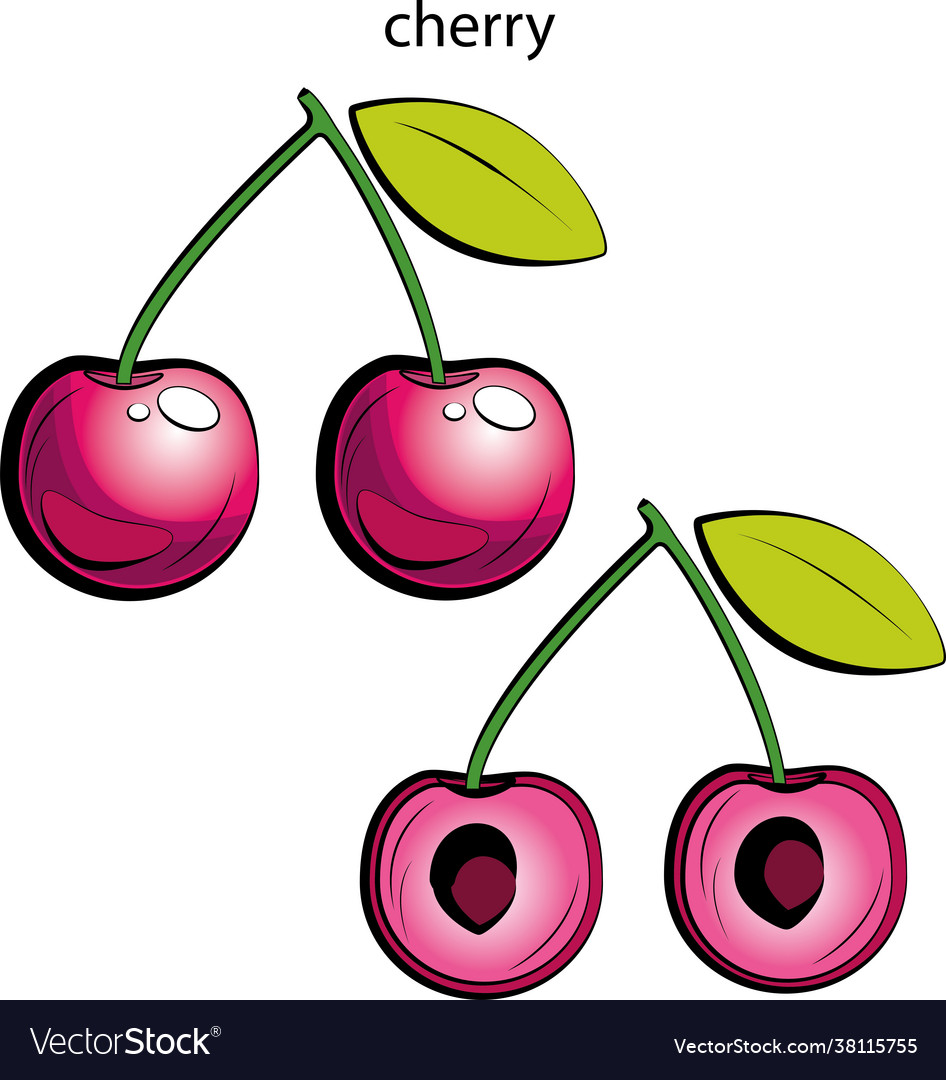 Cherry Royalty Free Vector Image - VectorStock