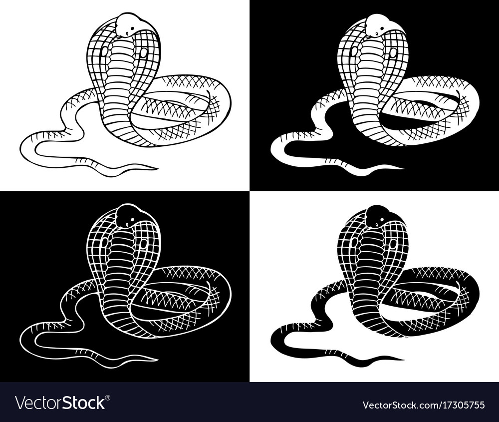 Vector illustration of stylized snake cobra on the dark blue abstract  background. Stock Vector