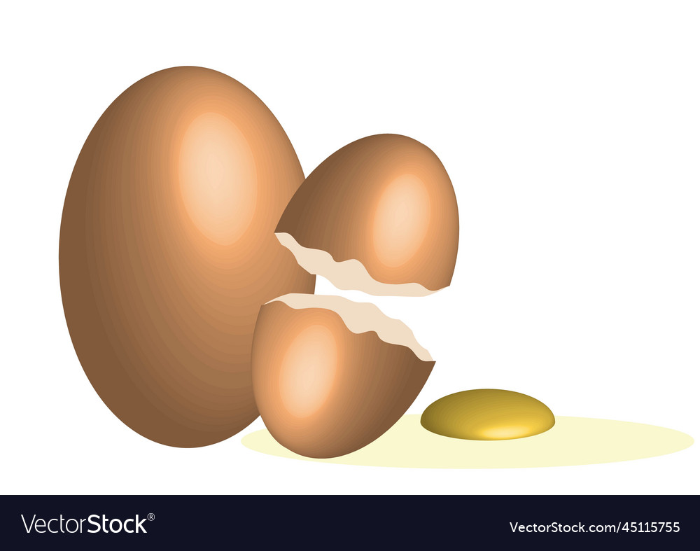 Set of realistic white dark and light brown