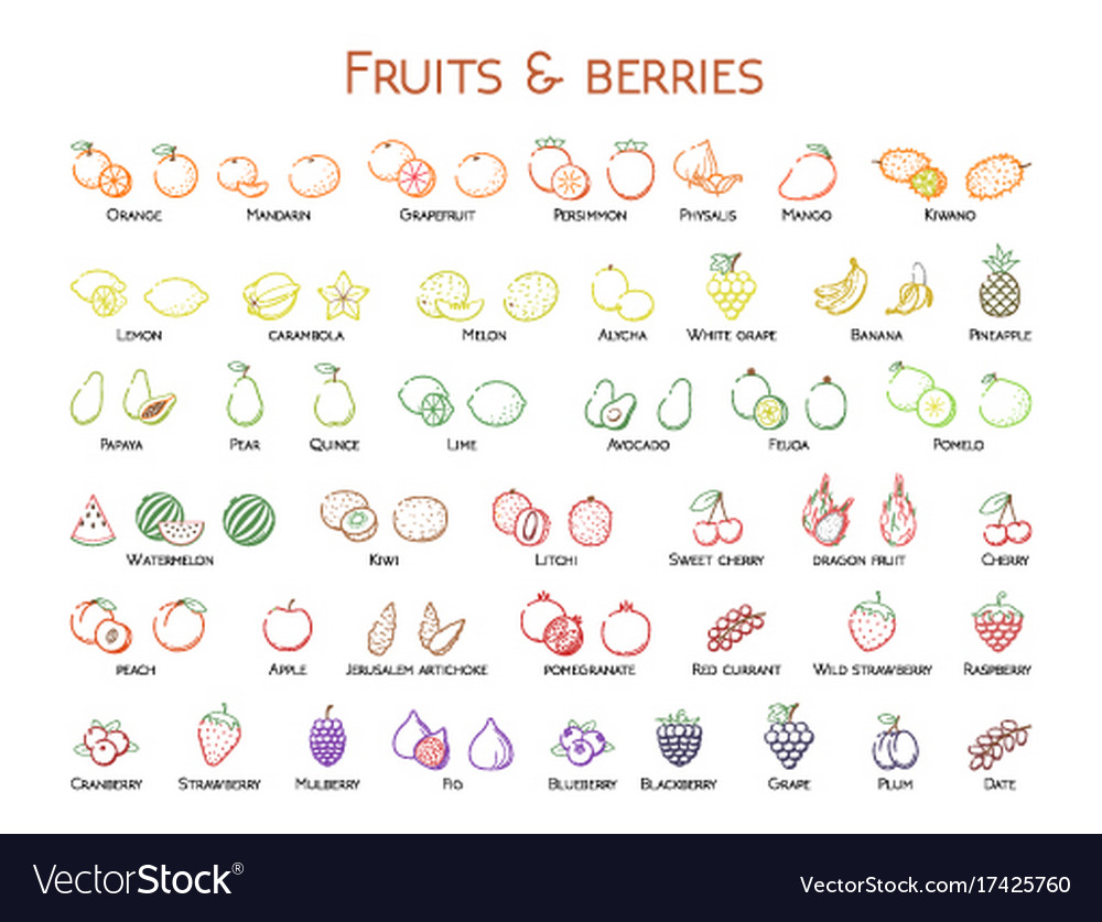 Outline colorful linear web icon set - fruit amp