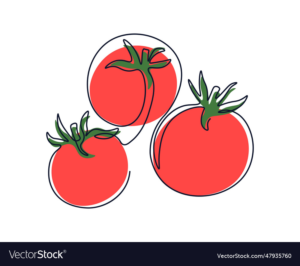 Tomatoes in continuous drawing style Royalty Free Vector