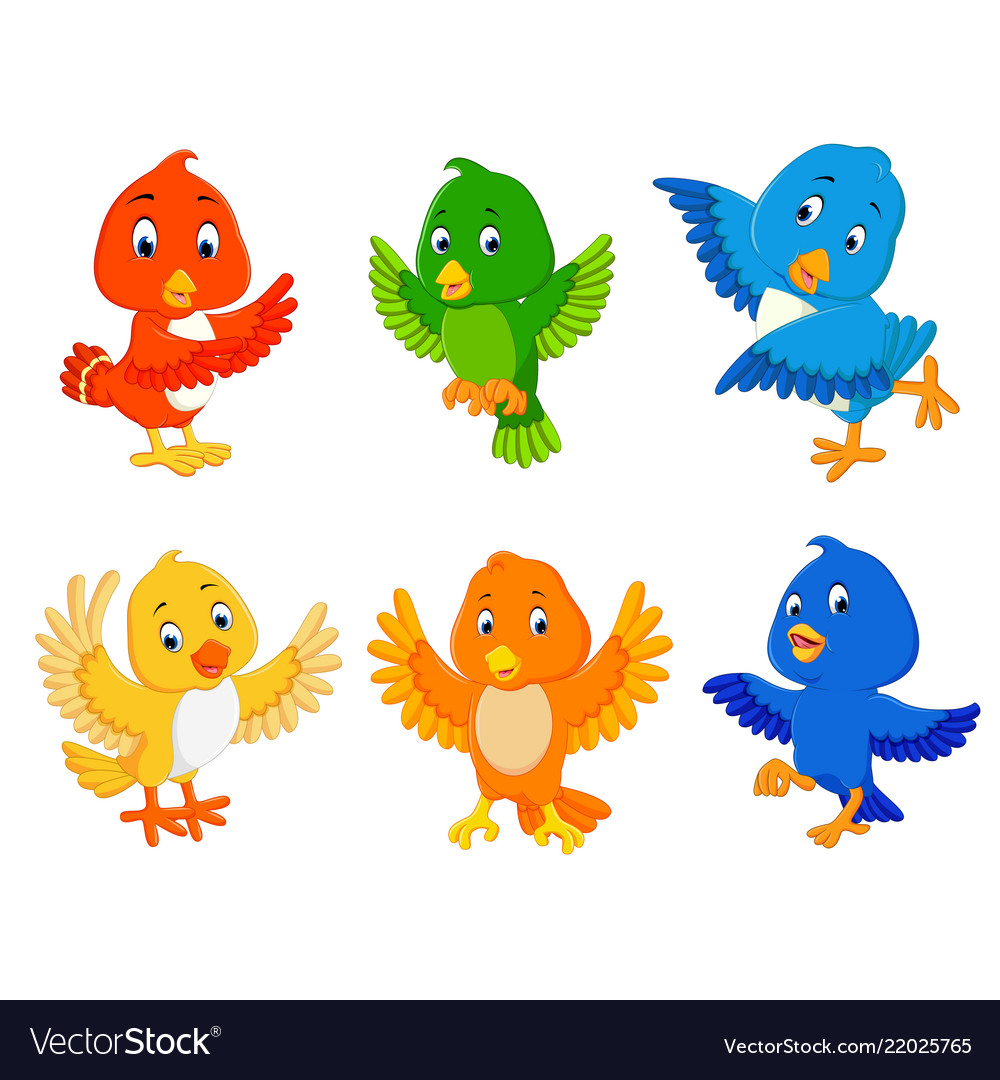 collection-birds-with-the-different-color-vector-image