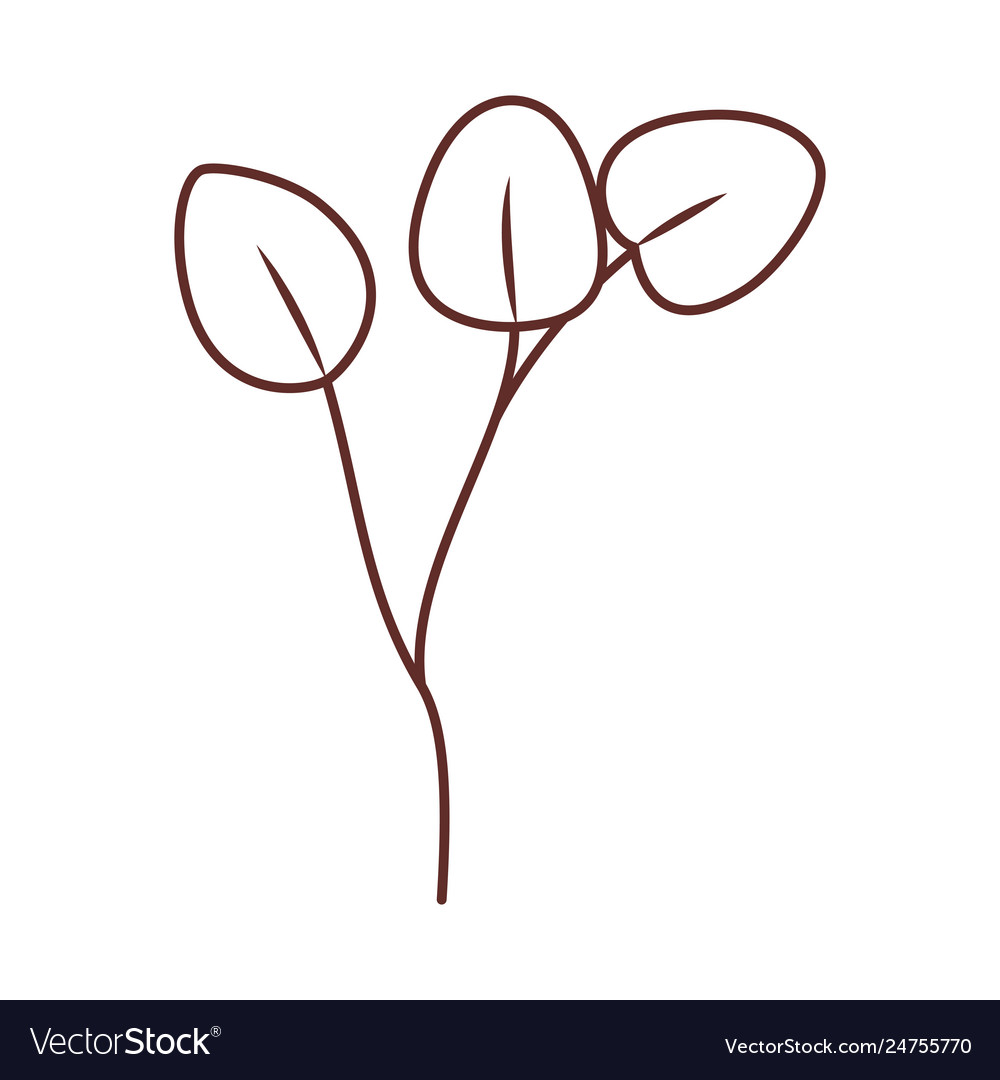 Branch with leafs isolated icon Vector Image Branch with leafs isolated icon