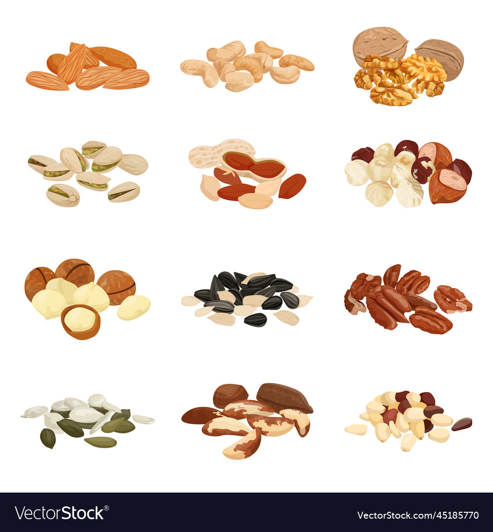 Nuts variety pile set Royalty Free Vector Image