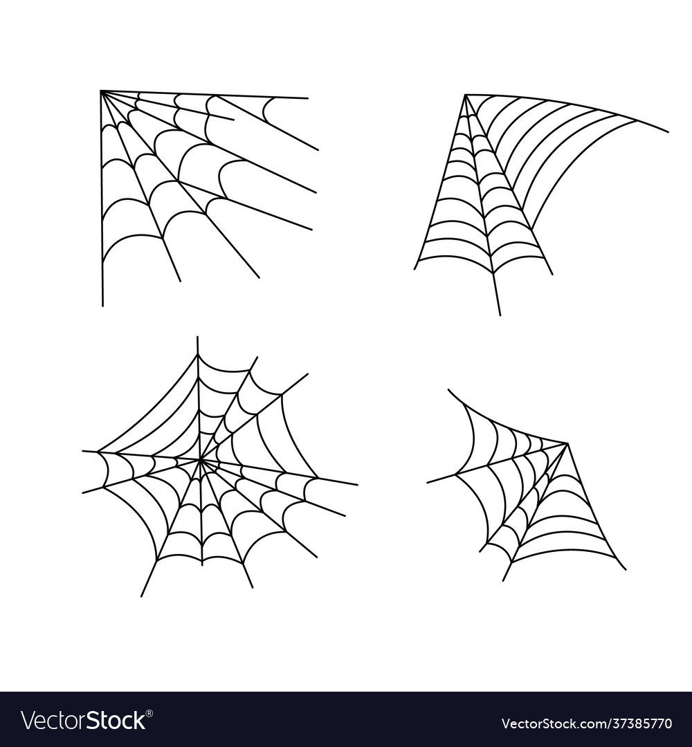 Spider web simple outline vector image Spider web simple outline