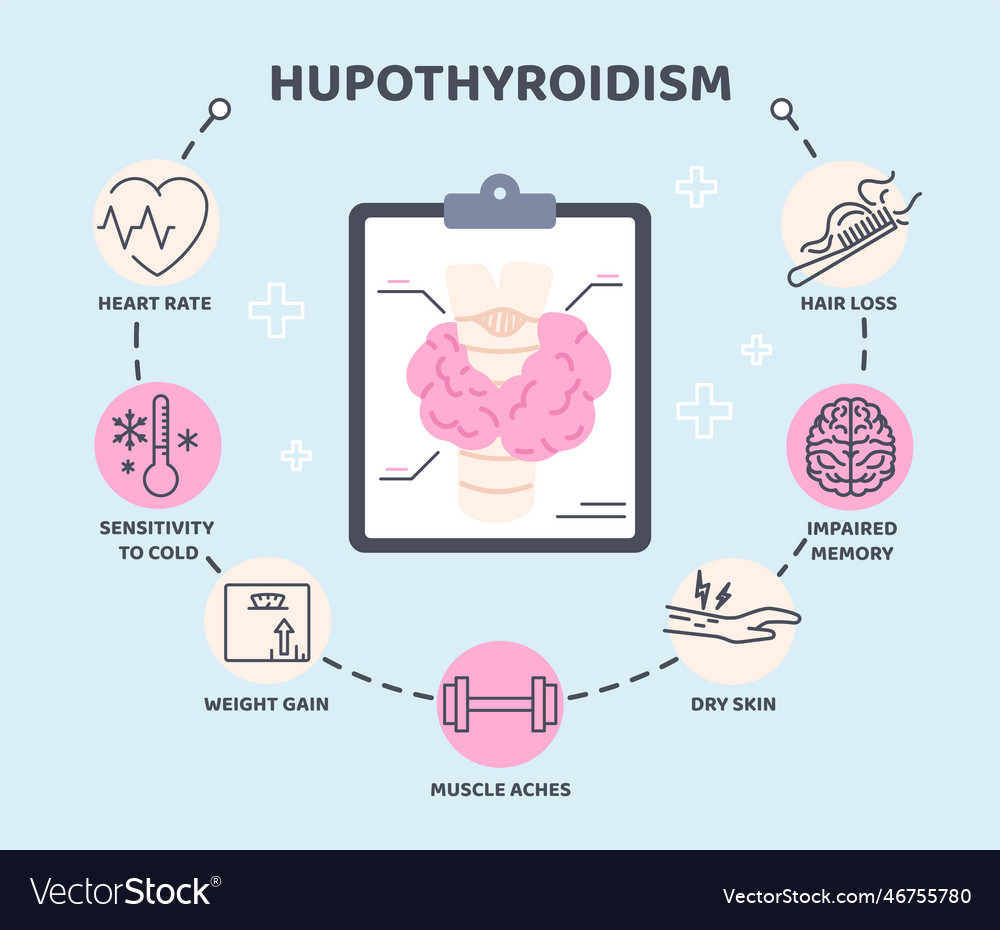 Thyroid infographic concept Royalty Free Vector Image
