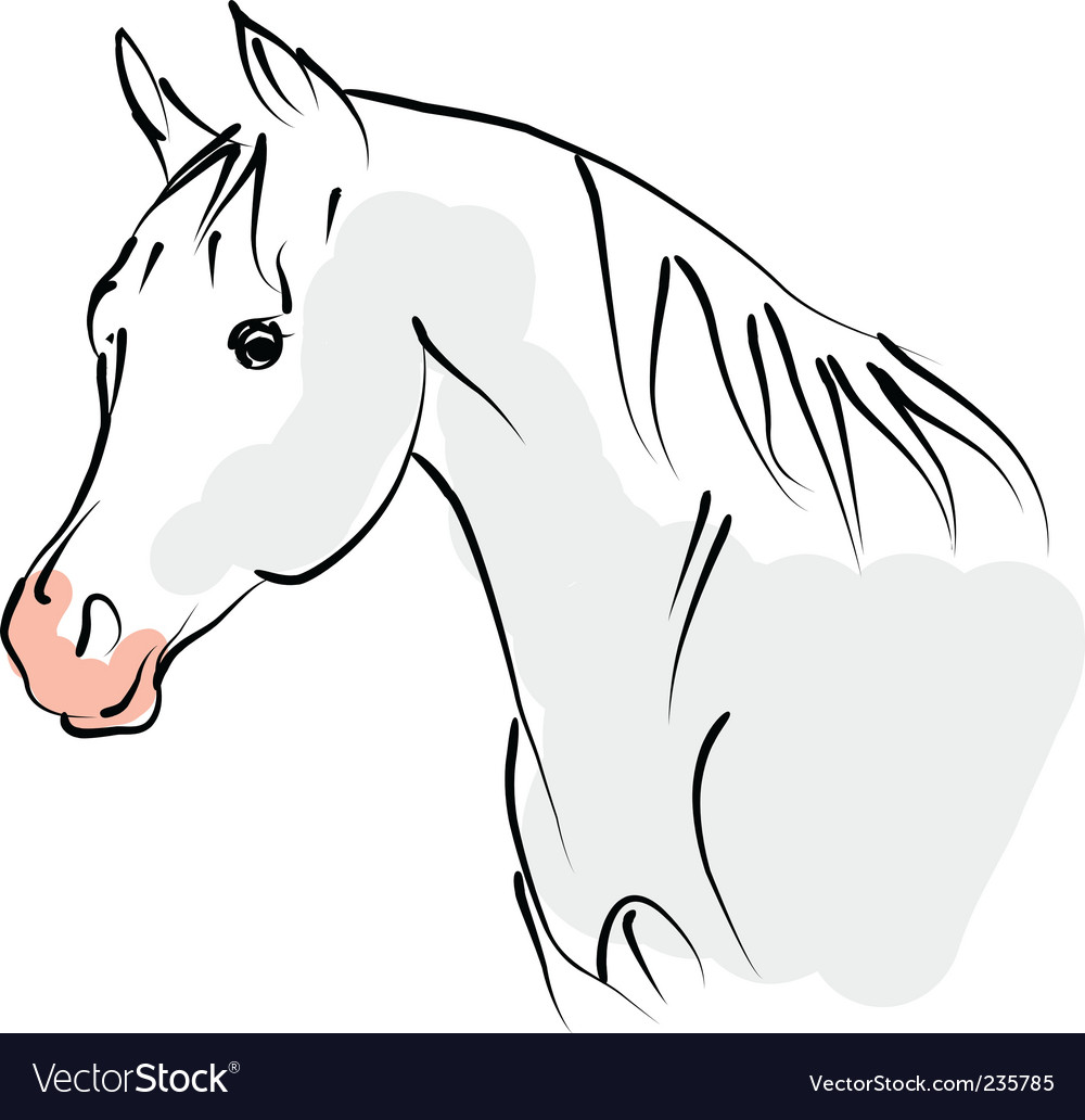 Elegant Camargue Horse