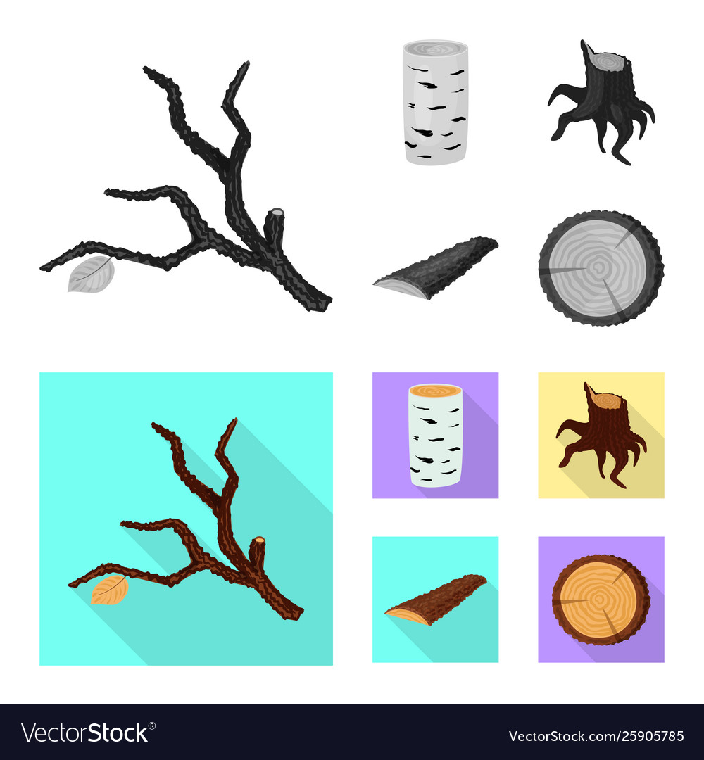 Isolated object tree and raw symbol collection