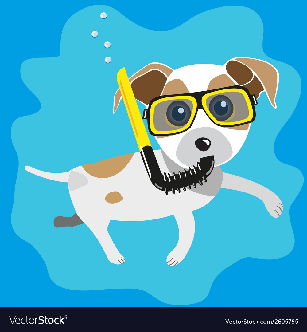 Jack Russell Diver