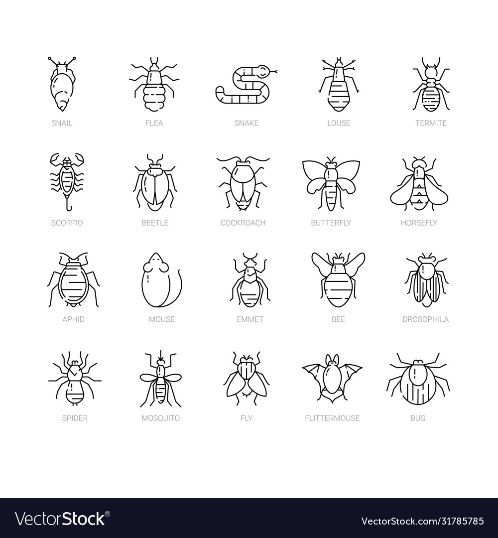 Pest control icon set in linear style vector image Pest control icon set in linear style