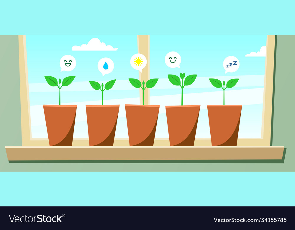 Seedlings in pots are standing on windowsill