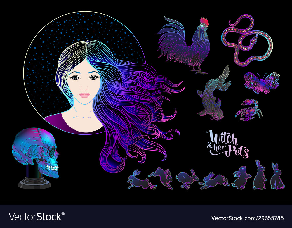 Young woman witch with her mystical pets and human vector image Young woman witch with her mystical pets and human