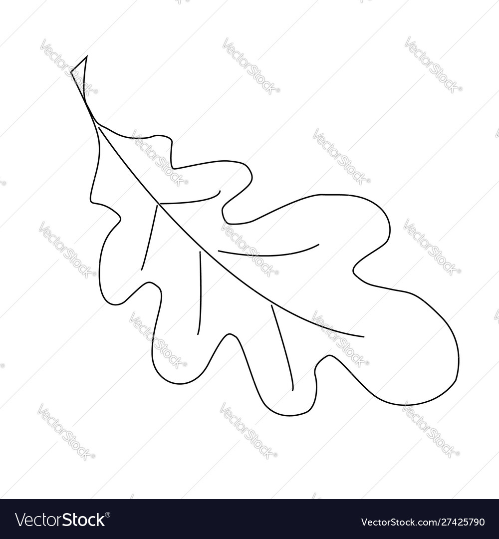 Simple Oak Leaf Outline