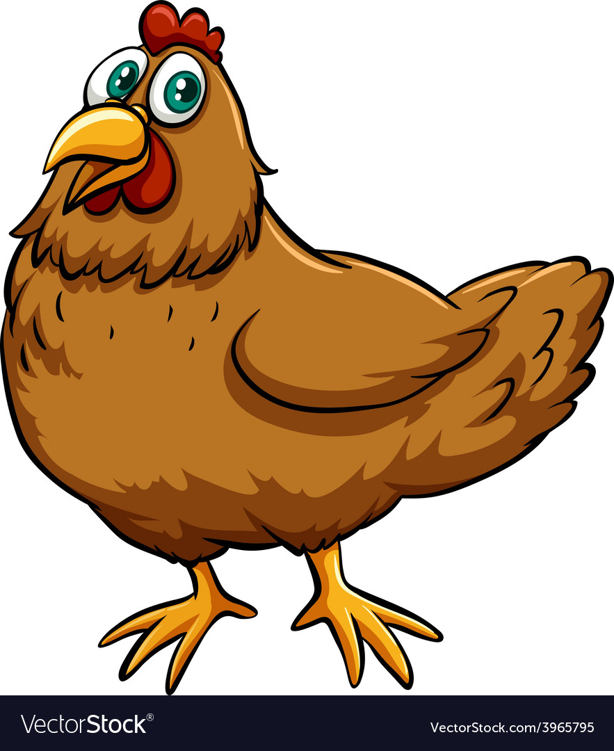 A spring chicken idiom Royalty Free Vector Image