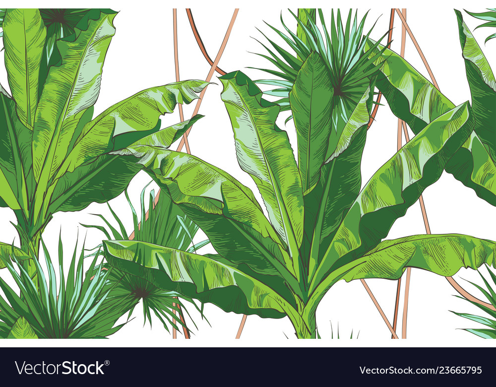 Tropical Palm Leaf Pattern