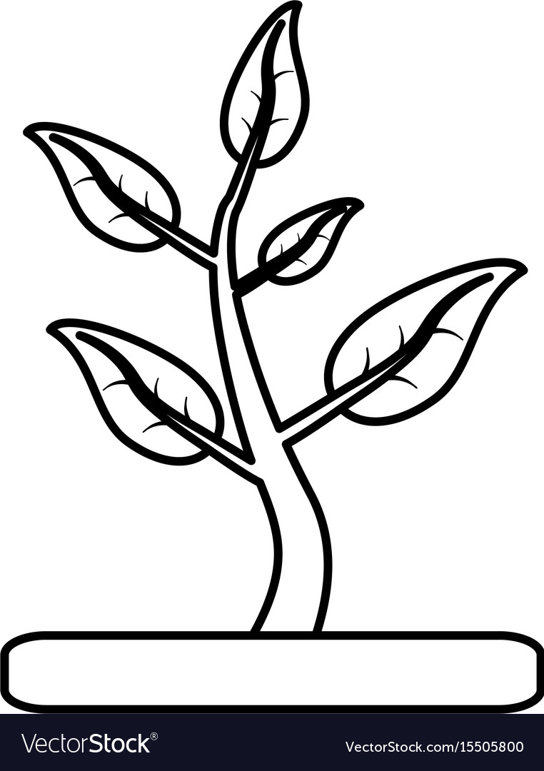 Plant with leaves in soil icon imag