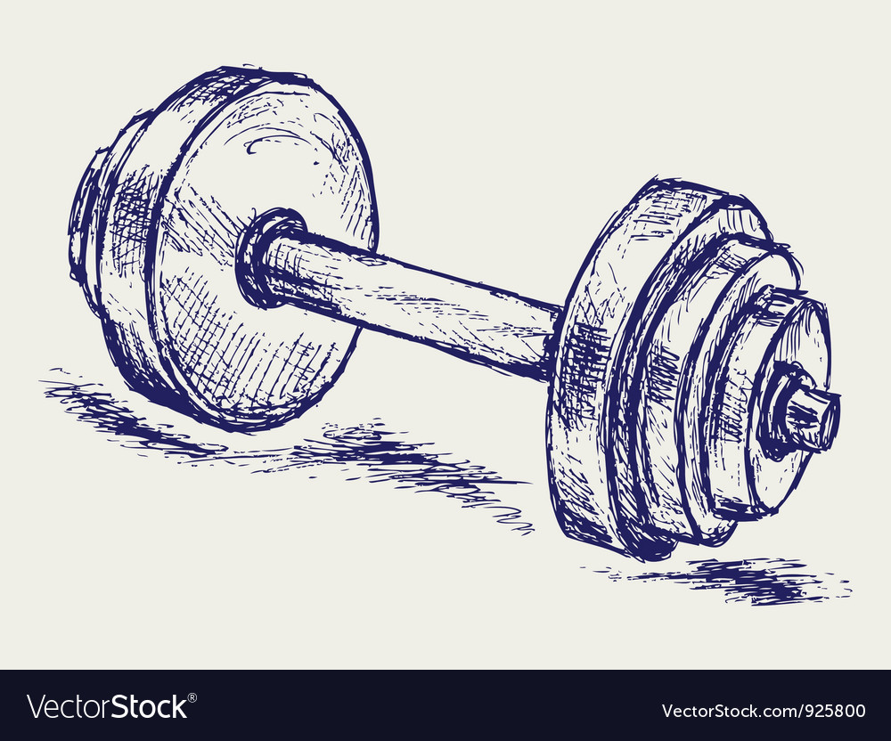 Sketch Dumbbell Weight Royalty Free Vector Image 1692