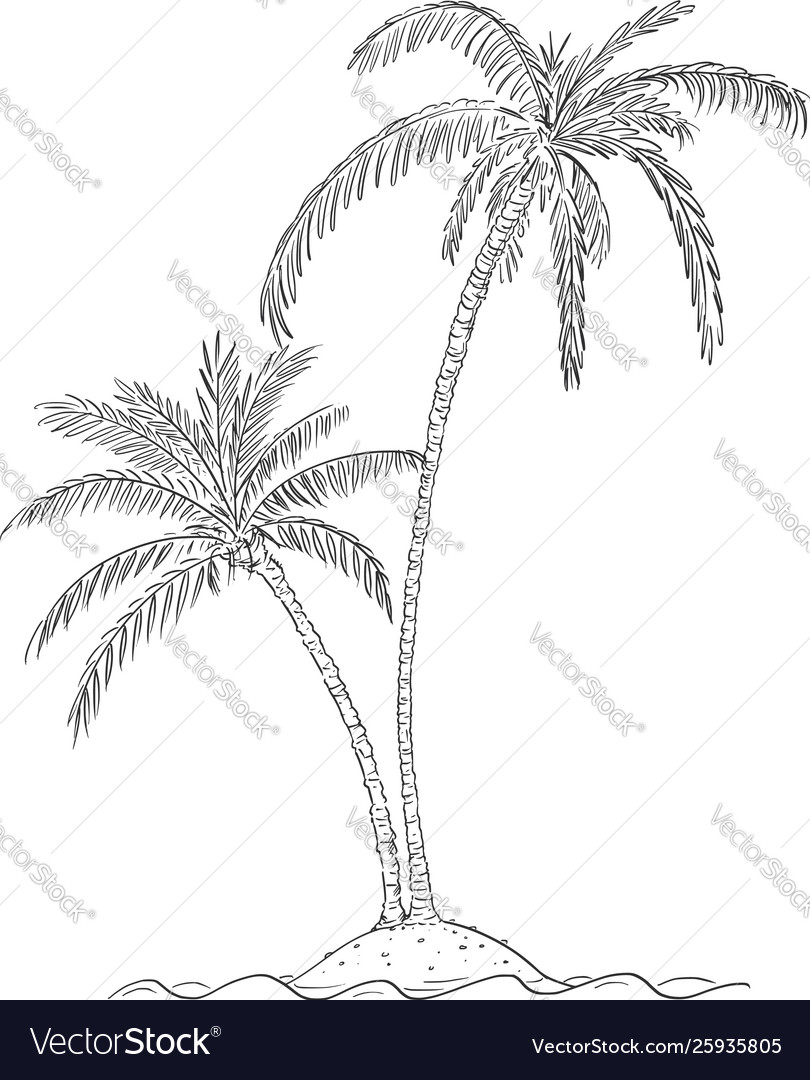 Cartoon drawing two palm trees on small island Vector Image