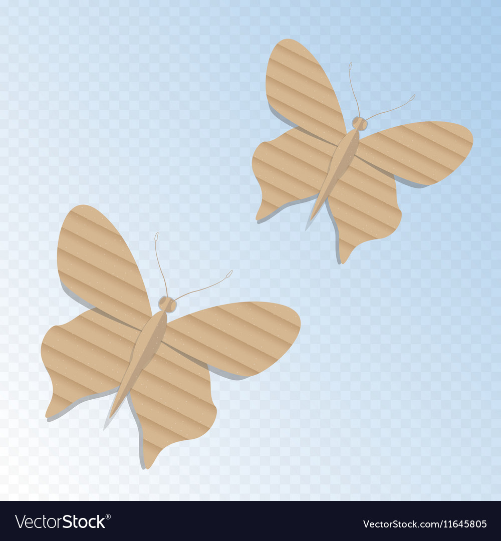 Handmade cardboard butterfly