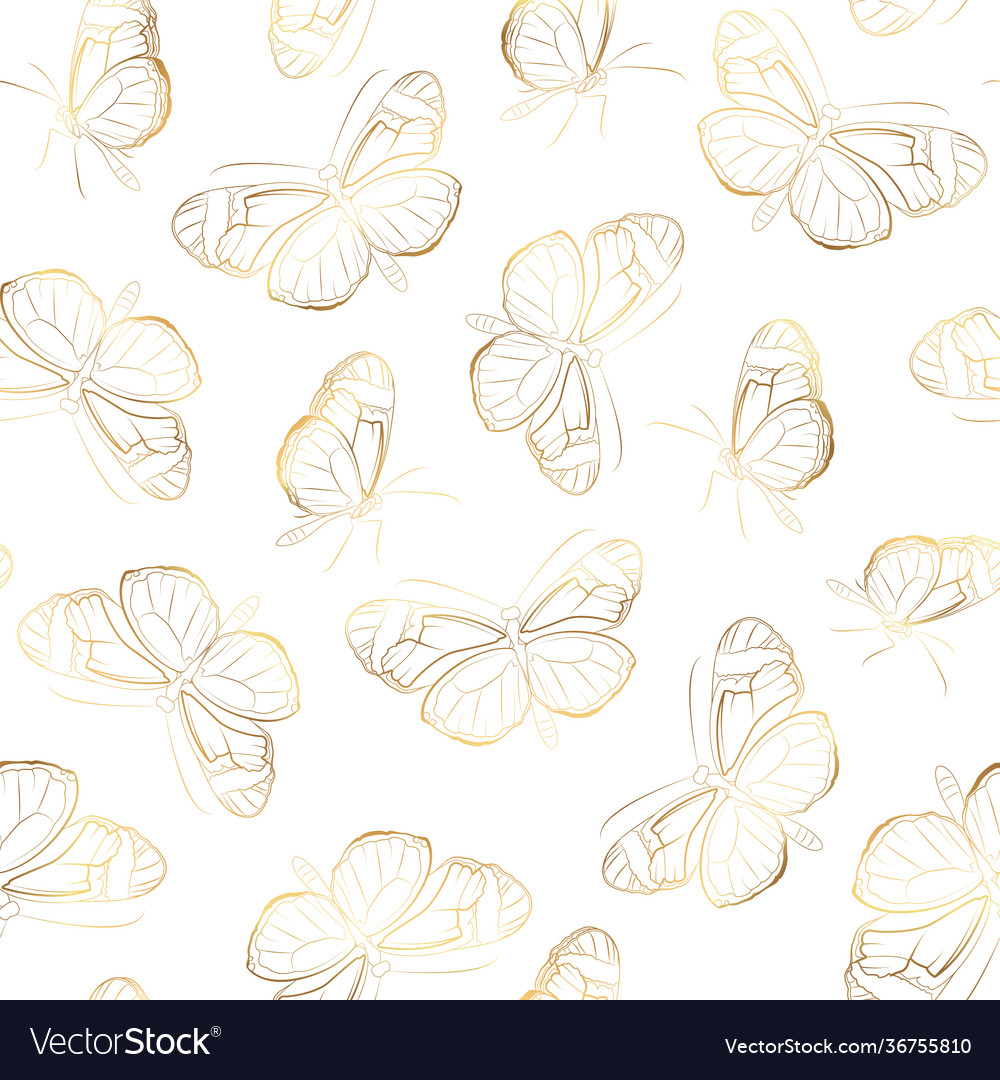 Butterfly seamless pattern insect wings flight